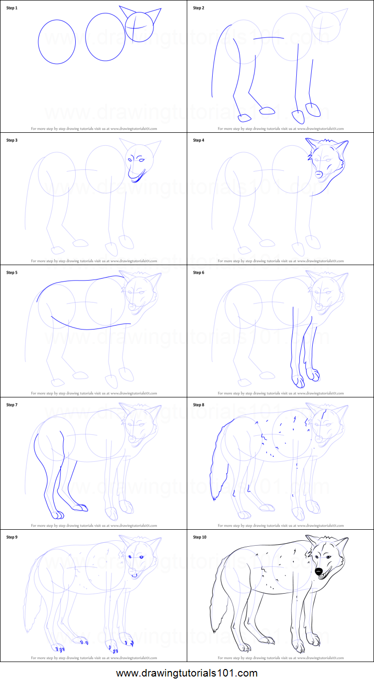 751x1376 How To Draw A Timber Wolf Printable Step - Wolf Drawing Step By Step Pencil