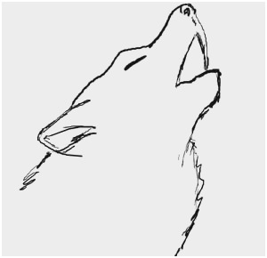 300x290 Howling Wolf Drawing Tutorial Wonderfully Drawn Howling Wolf Easy - Wolf Drawing Step By Step Pencil
