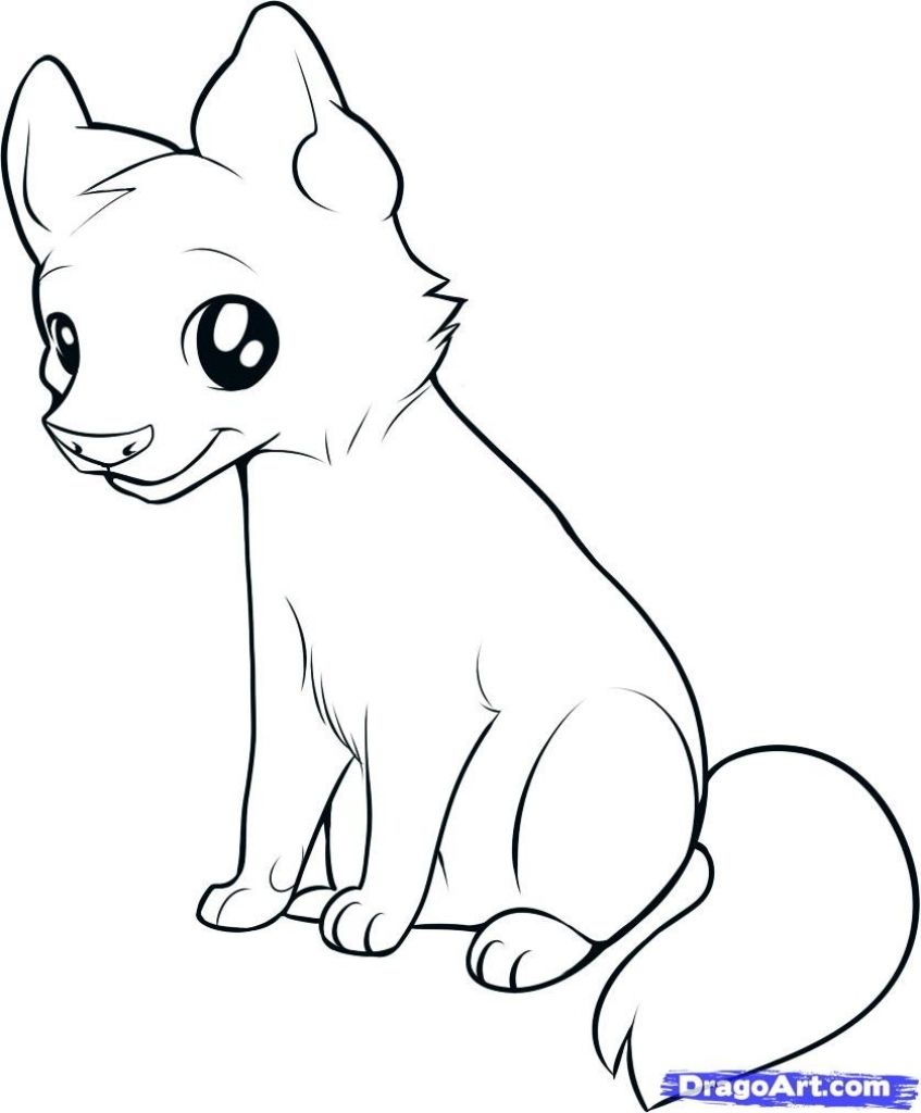 847x1024 Pencil Drawing Step - Wolf Drawing Step By Step Pencil