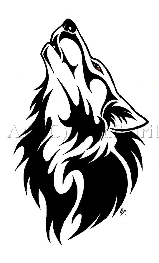 540x893 Wolf Drawing Tumblr - Wolf Drawing Tumblr
