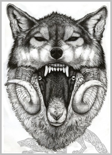 382x530 best tumblr illustration ram wolf images on designspiration - Wolf Drawing Tumblr