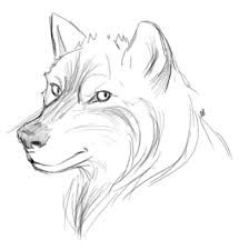 224x225 Wolf Sketch Tumblr - Wolf Drawing Tumblr