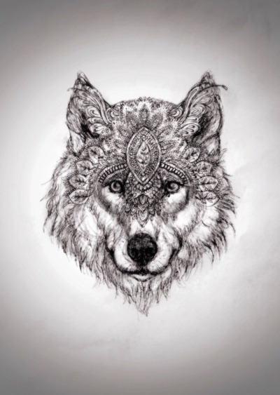 Wolf Drawing Tumblr At Paintingvalley Com Explore Collection Of Wolf Drawing Tumblr