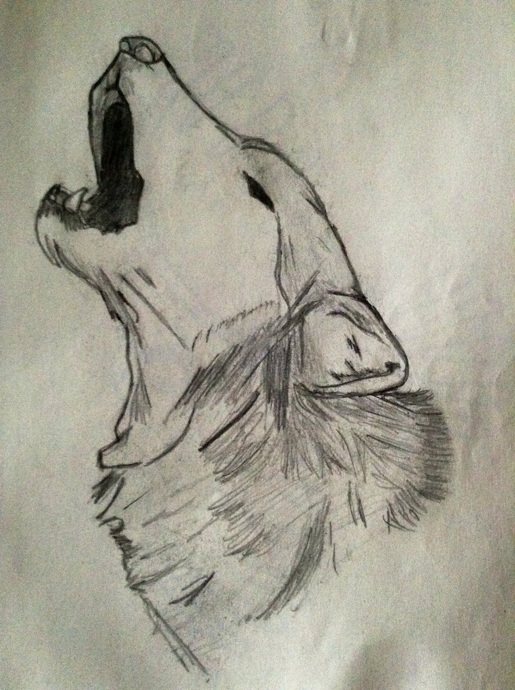 1024x1372 Howling Wolf Drawing Tumblr - Wolf Drawing Tumblr