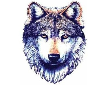 366x292 Image About Tumblr In Lovely - Wolf Drawing Tumblr