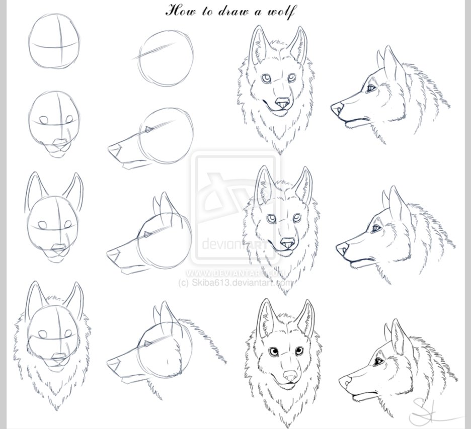 936x853 How To Draw A Wolf - Wolf Drawing Tutorial