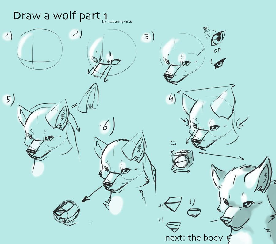 Wolf Drawing Tutorial at PaintingValley.com | Explore collection of ...