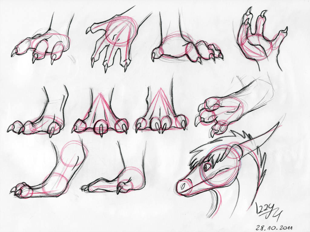1024x767 wolf drawing tutorial dragon hands and feet tutorial - Wolf Drawing Tutorial
