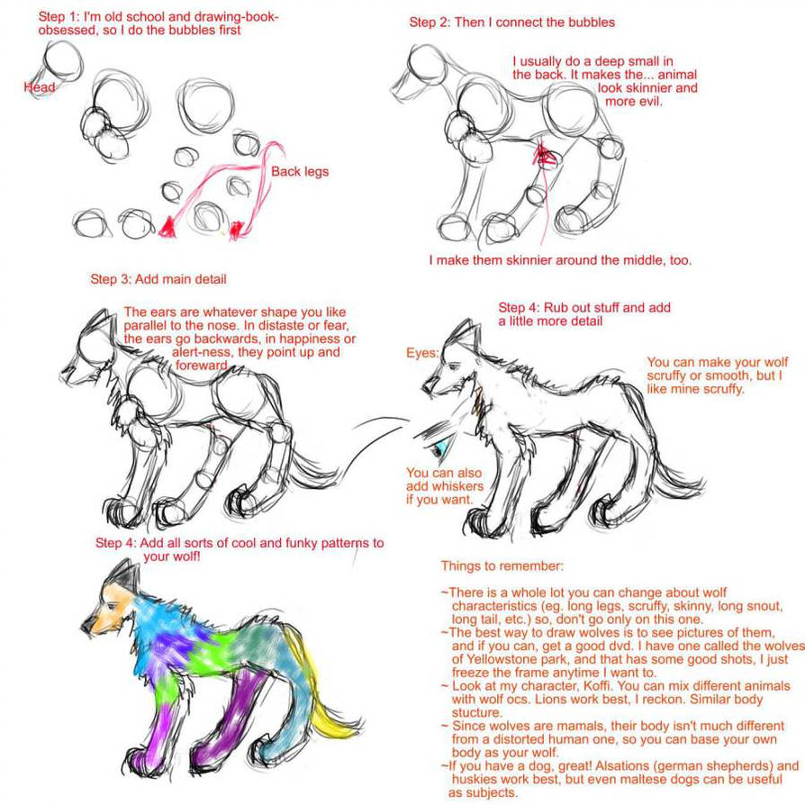 Wolf Drawing Tutorial at PaintingValley.com | Explore collection of ...