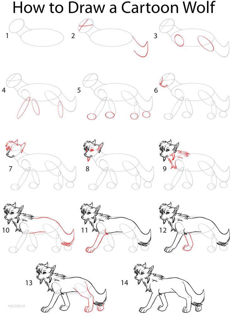 736x1007 How To Draw A Cartoon Wolf Step - Wolf Drawing Tutorial