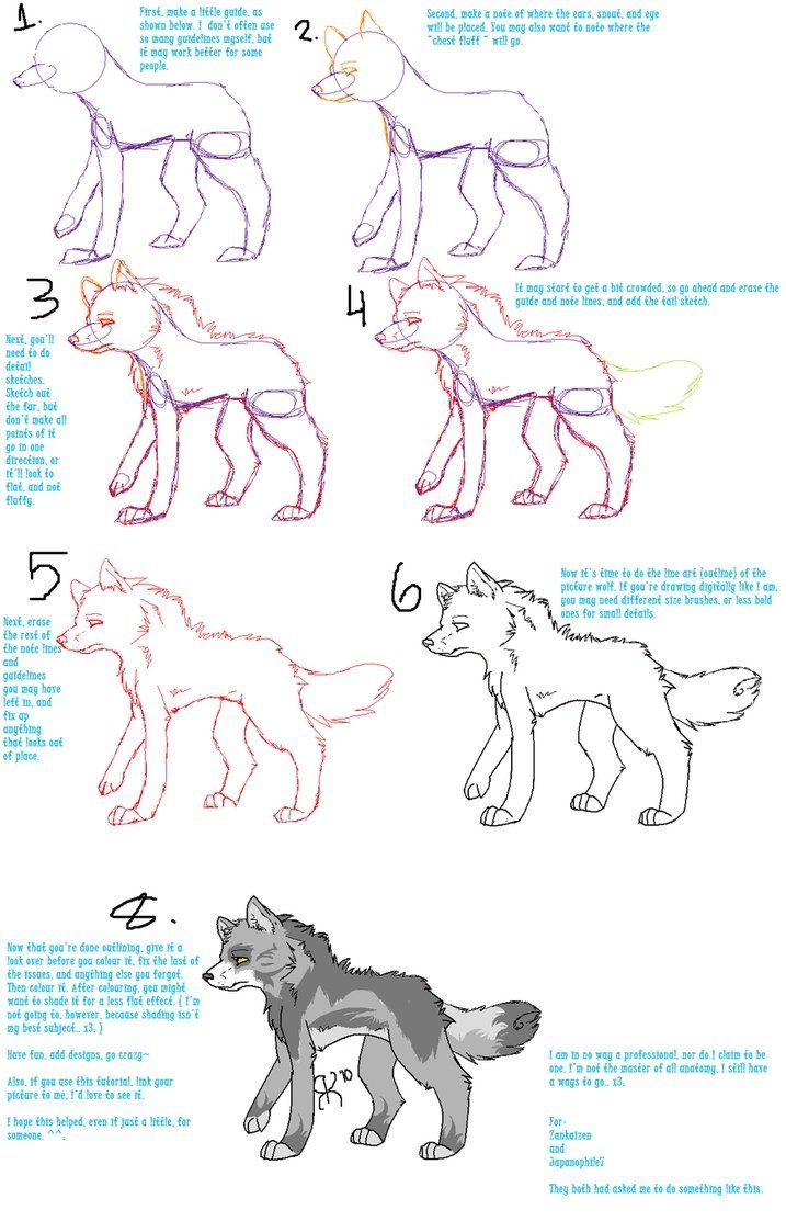 717x1113 Anime Drawing Tutorial On A Wolf Anime Drawing Tutorials - Wolf Drawing Tutorial