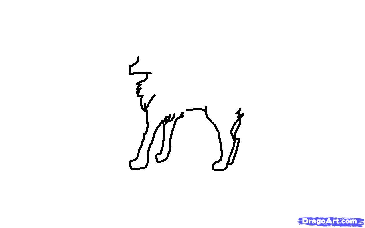 1280x801 Anime Wolf Drawing Tutorial, Step - Wolf Drawing Tutorial