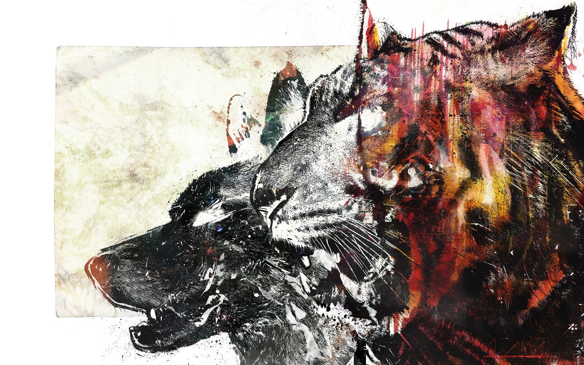 1920x1200 Wolf, Tiger, Drawing, White, Red Wallpaper And Background - Wolf Drawing Wallpaper