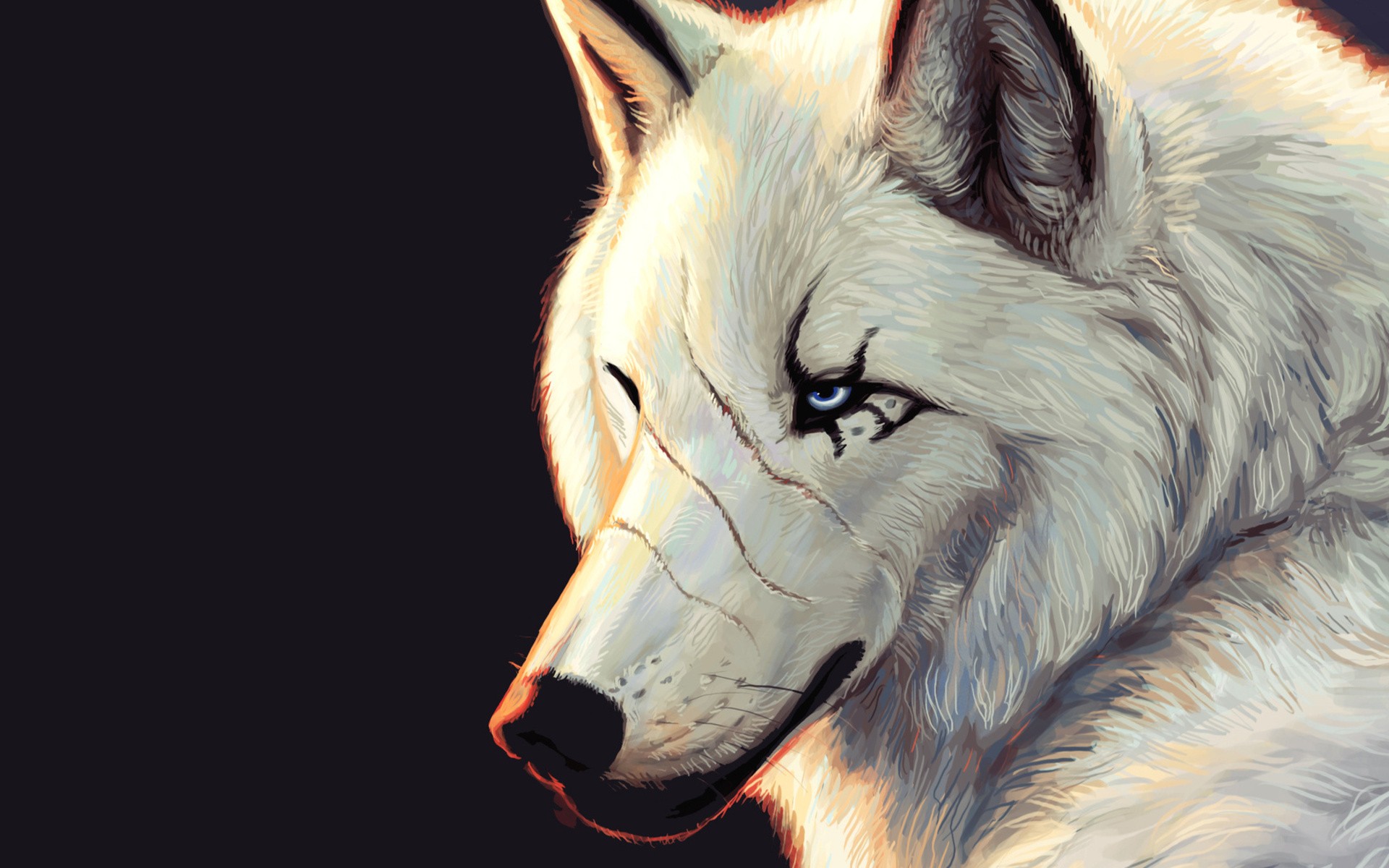 1920x1200 wolf drawing hd wallpaper art and paintings wallpaper better - Wolf Drawing Wallpaper