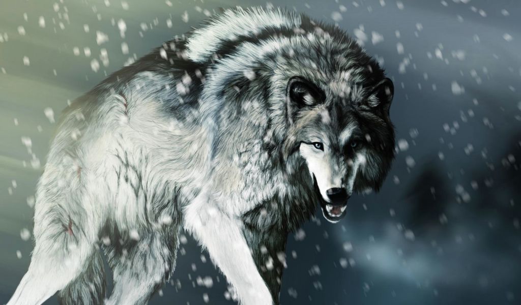 1024x600 Wolf Drawing Wallpaper Wolf Wallpapers On Wallpaperplay - Wolf Drawing Wallpaper