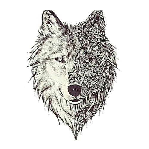 500x500 Wolf Wallpaper Uploaded - Wolf Drawing Wallpaper