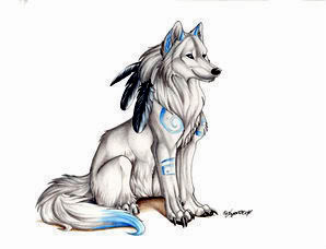 298x228 Wolves Images Wolf Drawings Wallpaper And Background Photos - Wolf Drawing Wallpaper