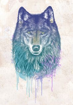 Wolf Drawing Wallpaper At Paintingvalley Com Explore Collection