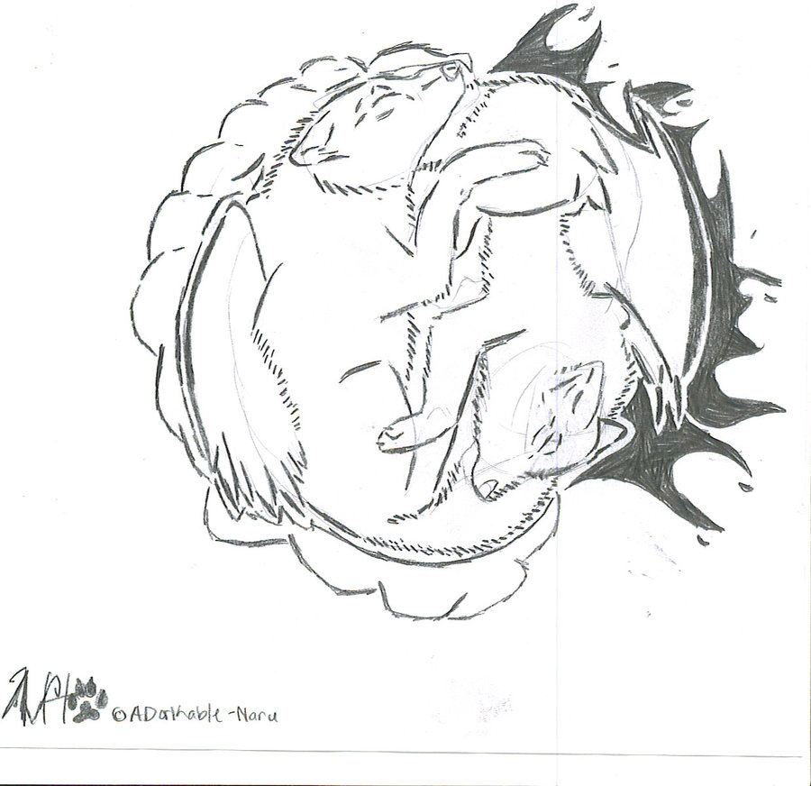 900x872 Wings Drawing Wolf For Free Download - Wolf Drawing With Wings