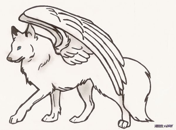 600x444 Wolf Cartoon Drawing With Wings - Wolf Drawing With Wings