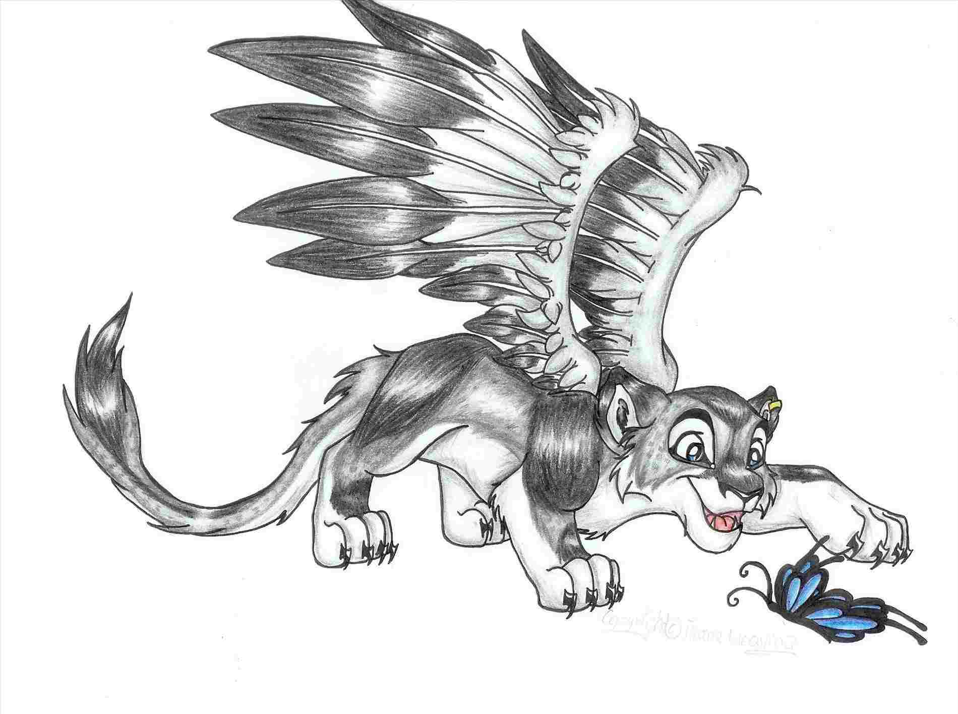 1900x1416 How Drawings Of Wolves With Wings To Draw A Wolf Head - Wolf Drawing With Wings