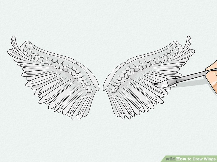 728x546 Ways To Draw Wings - Wolf Drawing With Wings