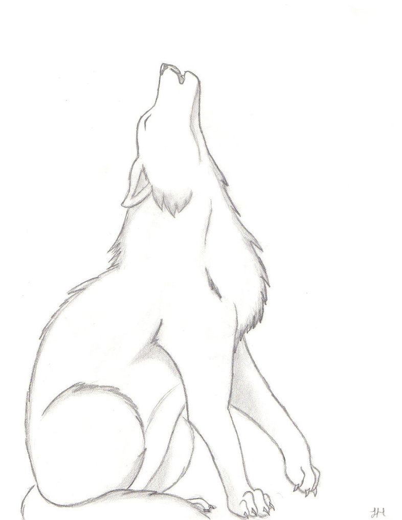 Wolf Drawings In Pencil at Explore