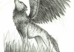 300x210 Werewolf Pencil Sketch Gray Wolf Drawing Pencil Sketch - Wolf Drawings In Pencil