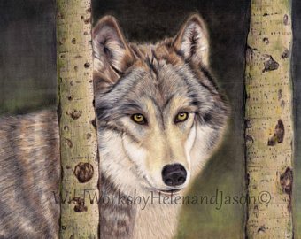 340x270 Wolf Drawing Etsy - Wolf Drawings In Pencil