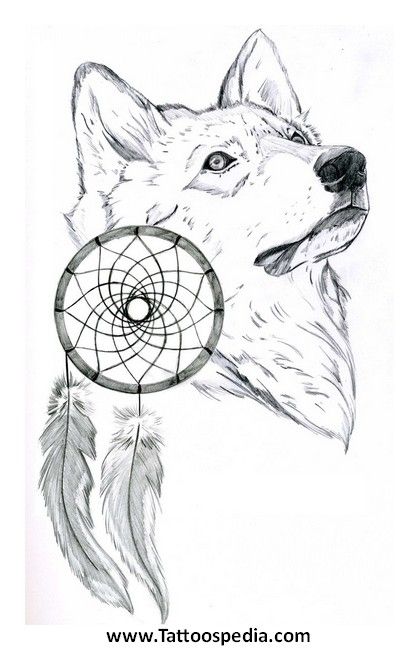 419x650 Wolf Dream Catcher Tattoo Outlines Wolf Dreamcatchers Drawings - Wolf Dreamcatcher Drawing