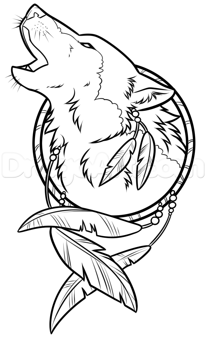 700x1147 Drawing A Wolf Dreamcatcher Step Wood Burning Wolf - Wolf Dreamcatcher Drawing