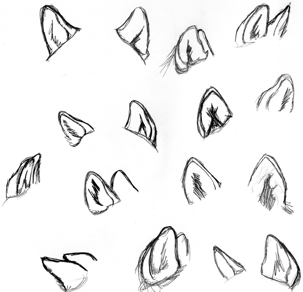 Printable Wolf Ears Template