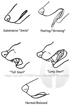 236x350 how to draw wolf ears annagrace's pins in drawings, art - Wolf Ears Drawing