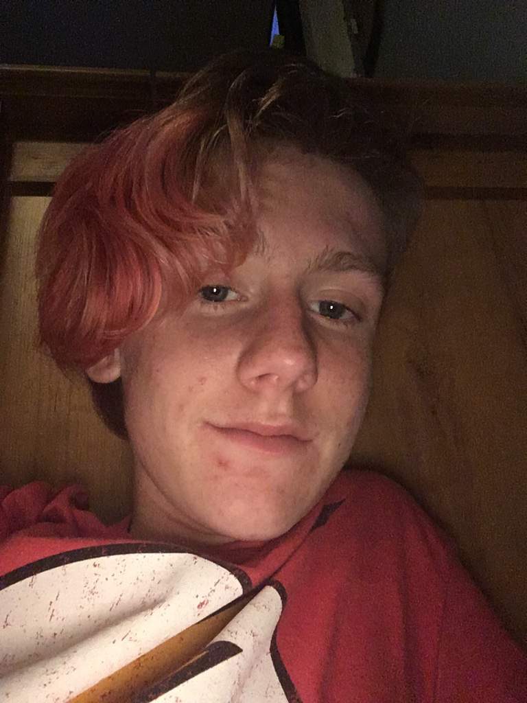 768x1024 can someone draw me as a oc human with wolf ears and tail flying - Wolf Ears Drawing