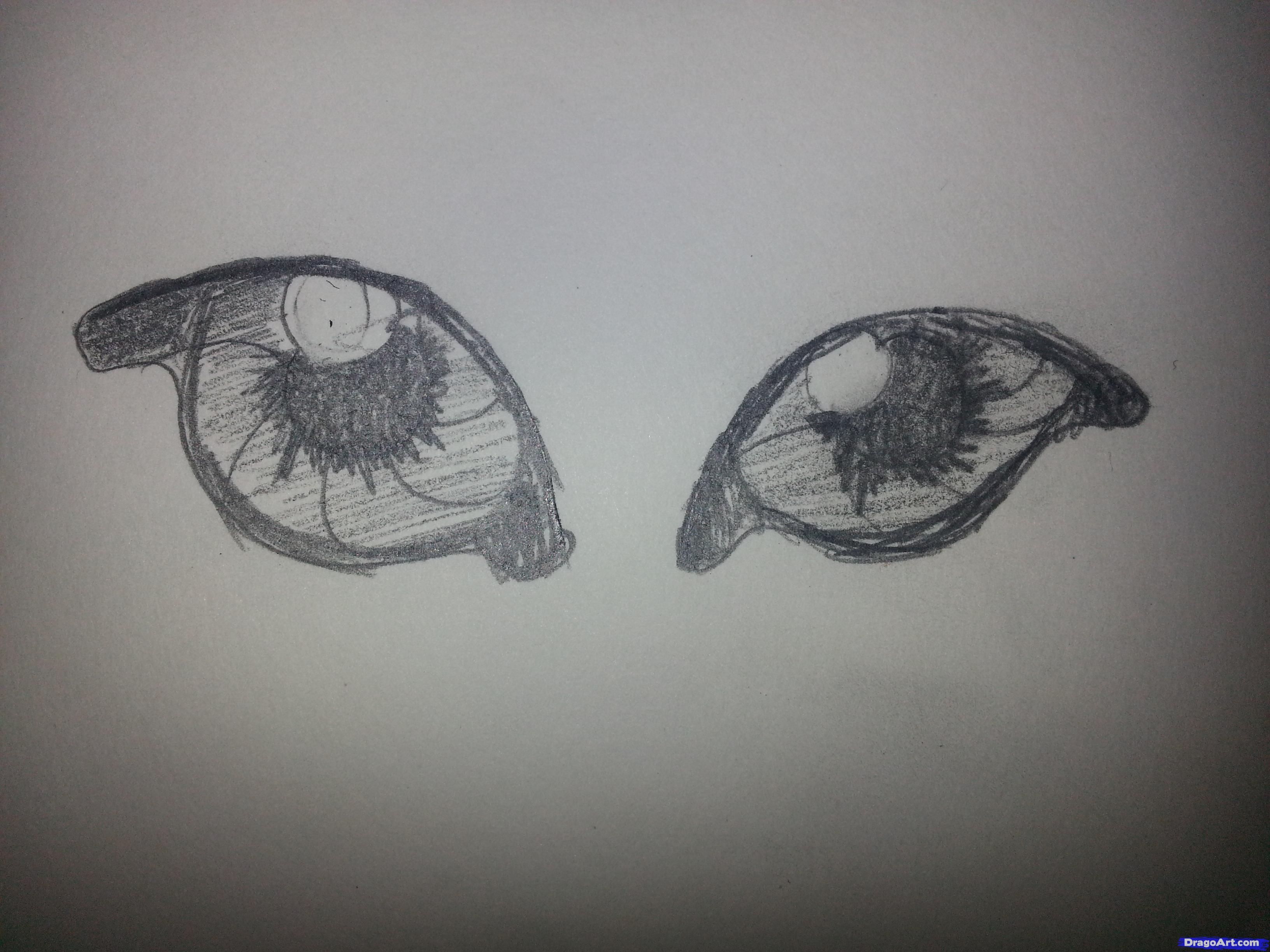 3264x2448 How To Draw Wolf Eyes, Step - Wolf Eye Drawing