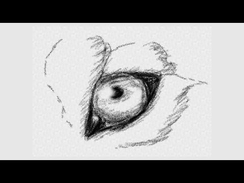 480x360 How To Draw A Wolf's Eye Art Lesson - Wolf Eye Drawing