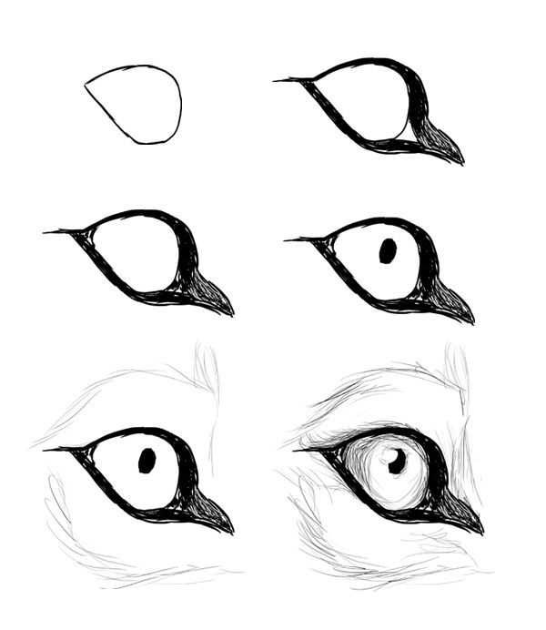 600x692 lunalparamor images instructions to drawing wolf eye wallpaper - Wolf Eye Drawing