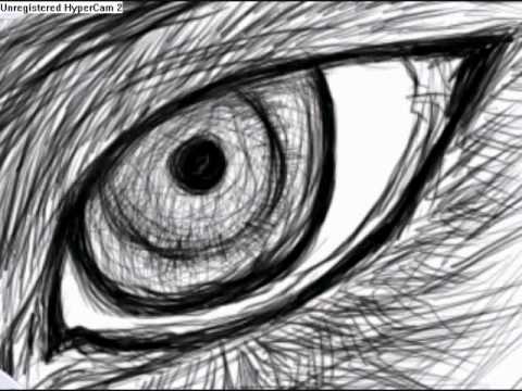 Wolf Eye Drawing At Paintingvalley Com Explore Collection Of