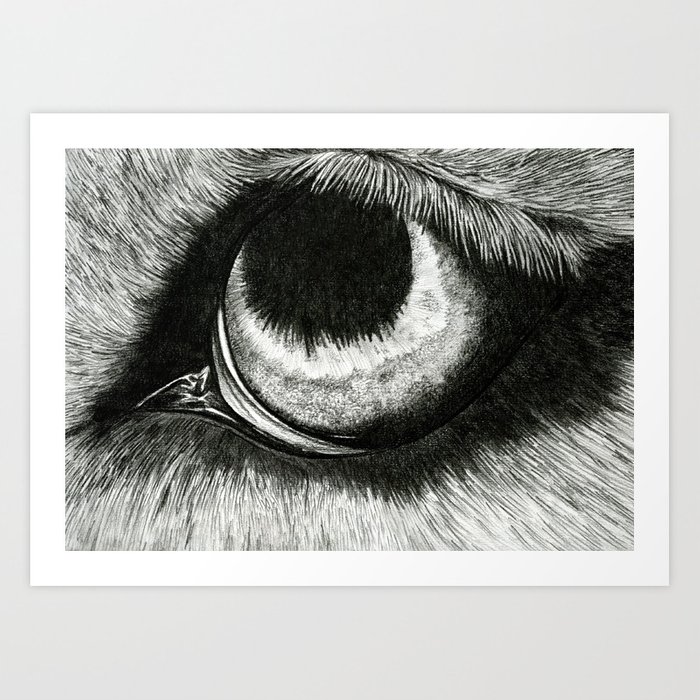 700x700 Pencil Drawing - Wolf Eye Drawing