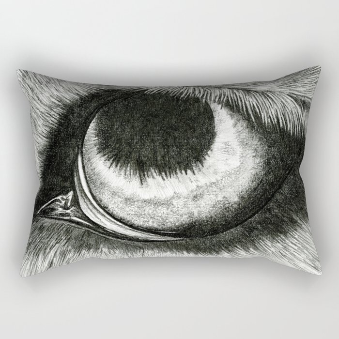 700x700 Pencil Drawing - Wolf Eye Drawing