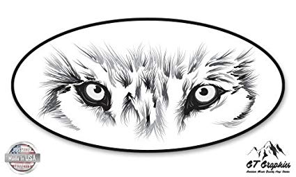 425x255 wolf eyes oval - Wolf Eye Drawing