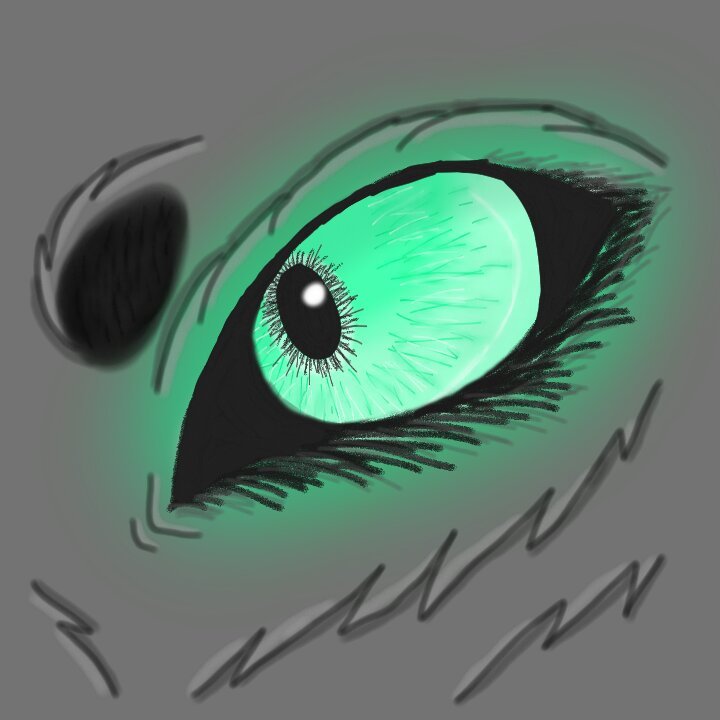 720x720 semi realistic wolf eye wolf amino amino - Wolf Eye Drawing