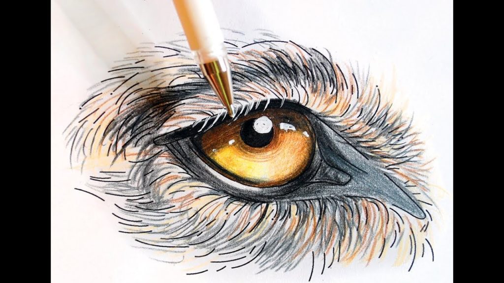 1024x576 the secrets of coloring tutorial - Wolf Eye Drawing