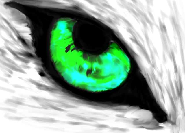 640x460 Wolf Eye - Wolf Eye Drawing