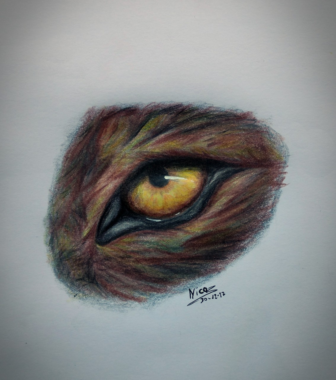 Wolf Eye Drawing at PaintingValley.com | Explore collection of Wolf Eye ...