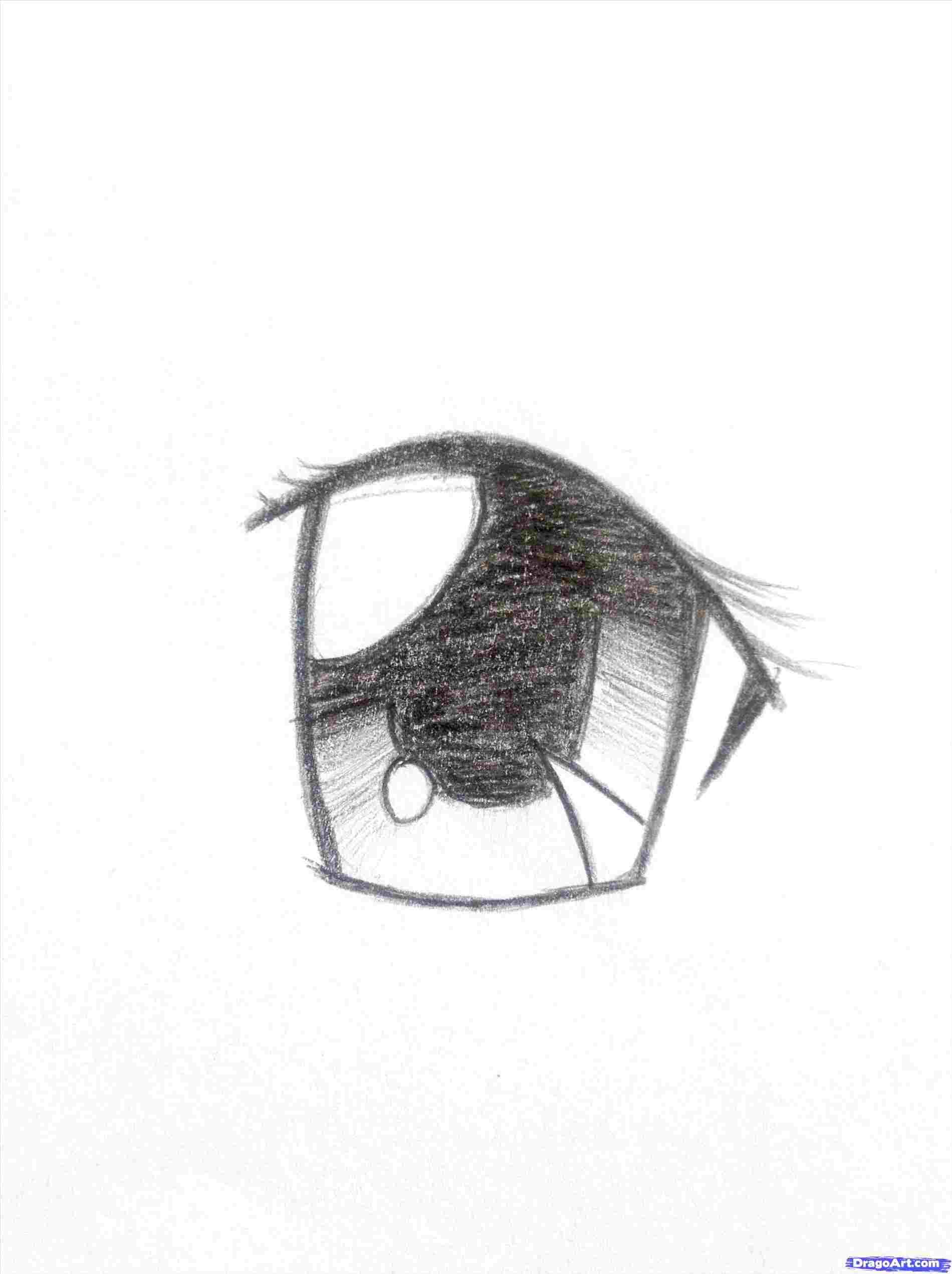 1900x2542 Fantasy Characters Rhdragoartcom A Wolf Face Steps With Pictures - Wolf Eye Drawing