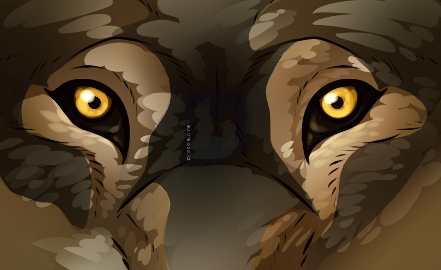 892x547 How To Draw Wolf Eyes, Step - Wolf Eye Drawing