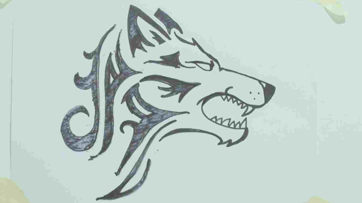 1517x853 How Wolf Face Drawing Easy Step - Wolf Face Drawing