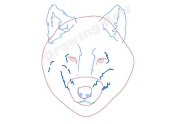 600x400 How To Draw A Wolf Face - Wolf Face Drawing
