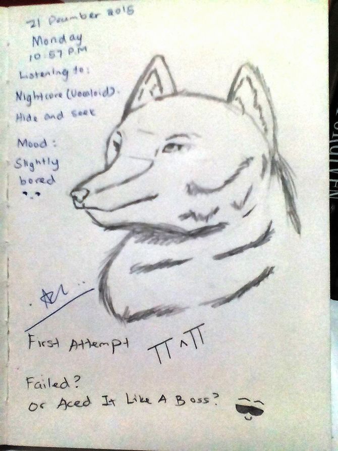 670x893 How To Draw A Wolf Face Steps - Wolf Face Drawing